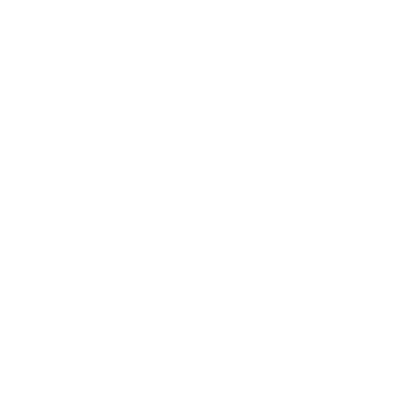 Turismo Sur Internacional
